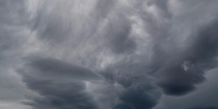 Tarnobrzeg, powiat tarnobrzeski: Drzewa na drogach i uszkodzone linie energetyczne. Skutki silnego wiatru