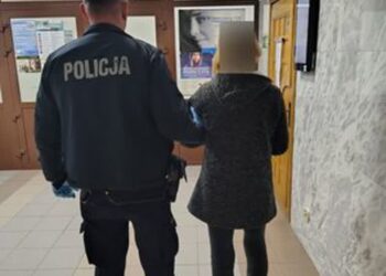 Tarnobrzeg: Przyspieszony proces i wyrok dla drogowej recydywistki