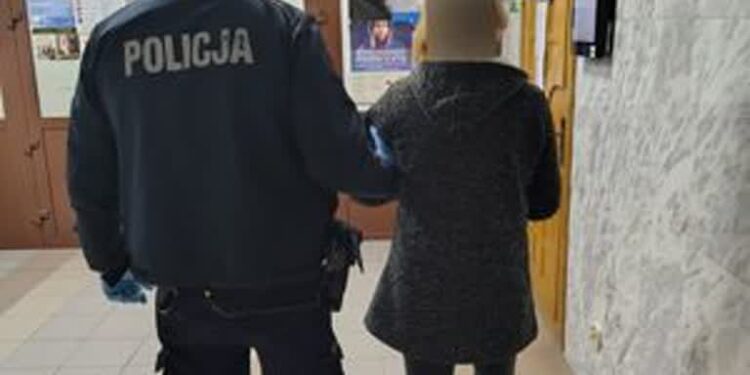 Tarnobrzeg: Przyspieszony proces i wyrok dla drogowej recydywistki