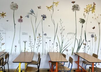 Sandomierz: W gminnych szkołach pojawiły się edukacyjne tapety