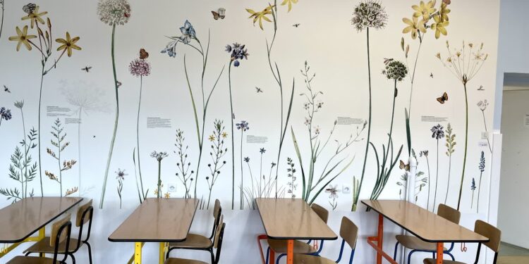 Sandomierz: W gminnych szkołach pojawiły się edukacyjne tapety