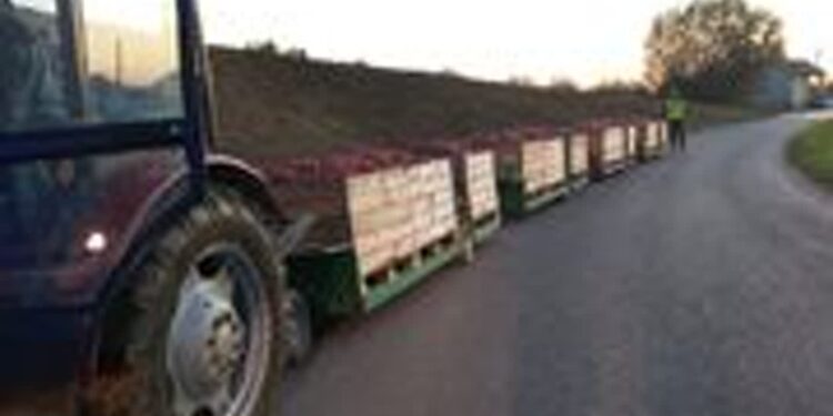 Łukowiec: Bez uprawnień, ale z rozmachem – cztery wózki sadownicze na haku