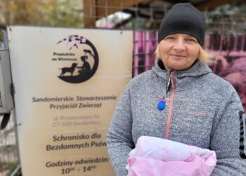Sandomierz: Charytatywna zbiórka elektrośmieci pomoże czworonogom