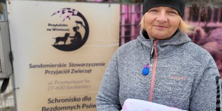 Sandomierz: Charytatywna zbiórka elektrośmieci pomoże czworonogom