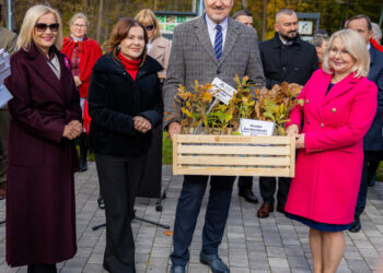 Zagnańsk: U stóp legendarnego Dębu Bartek zainaugurowano akcję „Tysiąc Dębów na Tysiąclecie Koronacji Bolesława Chrobrego”