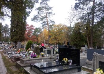 Stalowa Wola: Kolejne alejki na cmentarzu komunalnym będą wybrukowane