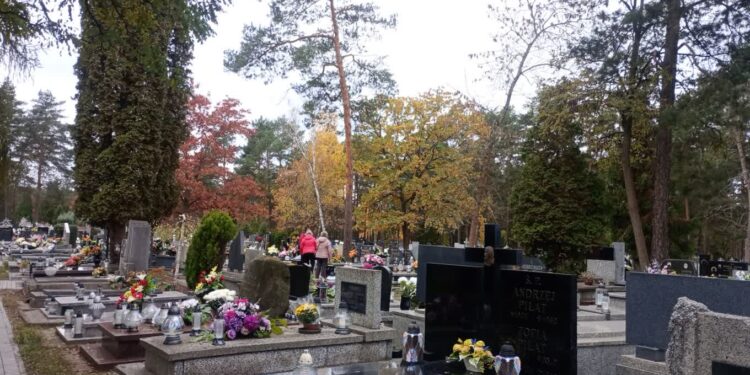 Stalowa Wola: Kolejne alejki na cmentarzu komunalnym będą wybrukowane