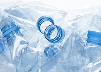 Mielec: System kaucyjny w Mielcu