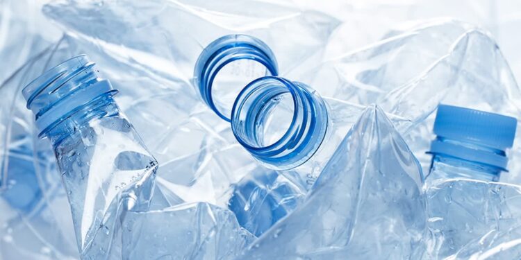 Mielec: System kaucyjny w Mielcu