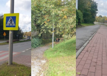 Tarnobrzeg: Mobilny MOF szansą na rozwój infrastruktury. W planach budowa inteligentnych przejść i asfaltowych ścieżek rowerowych