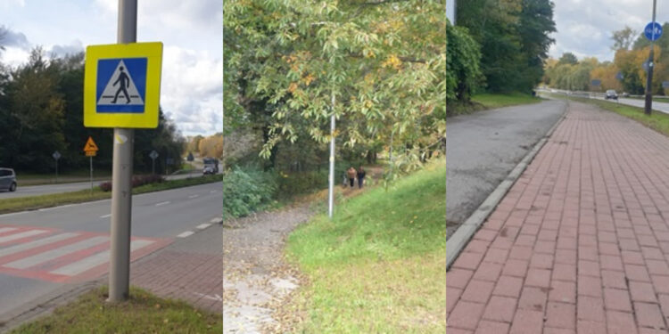 Tarnobrzeg: Mobilny MOF szansą na rozwój infrastruktury. W planach budowa inteligentnych przejść i asfaltowych ścieżek rowerowych