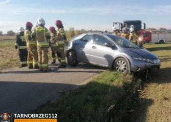 Sokolniki: Kierowca zasłabł i wjechał do rowu