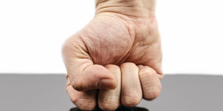 Powiat tarnobrzeski: Nietrzeźwy awanturnik odpowie za przemoc i znęcanie się nad zwierzęciem