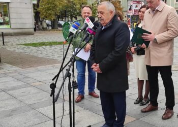 Mielec: Park linowy i miejsce dla potańcówek