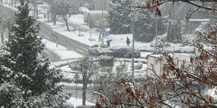 Tarnobrzeg:  Ważne numery interwencyjne i zasady odśnieżania w mieście