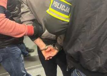 Nisko: Zatrzymani za oszustwo na adwokata