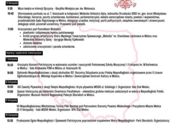 Mielec: Główne uroczystości obchodów 107. rocznicy odzyskania przez Polskę Niepodległości