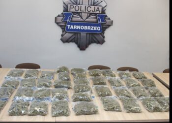 Tarnobrzeg:  Służby rozbiły narkotykowy proceder – ponad 21 kg narkotyków zabezpieczone