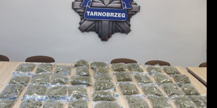 Tarnobrzeg:  Służby rozbiły narkotykowy proceder – ponad 21 kg narkotyków zabezpieczone