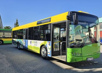 Dębica:  Czy sprawdza się darmowa komunikacja miejska ?