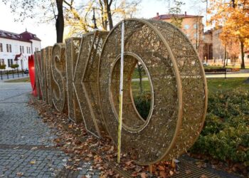 Nisko: Wysoka cena chuligańskiego wybryku