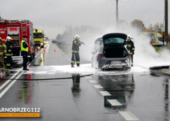 Gorzyce. Seat zapalił się podczas jazdy