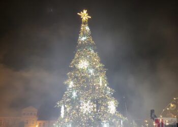 Tarnobrzeg. Będzie choinka