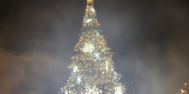 Tarnobrzeg. Będzie choinka
