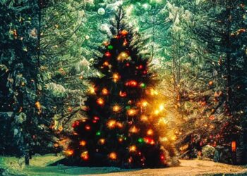 Nowa Dęba: Świąteczna choinka i iluminacje już na początku grudnia