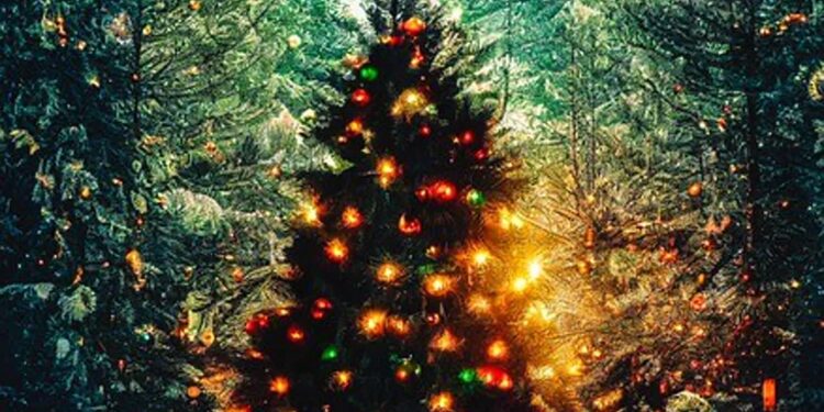 Nowa Dęba: Świąteczna choinka i iluminacje już na początku grudnia