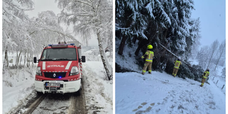 Podkarpacie: Atak zimy na Podkarpaciu