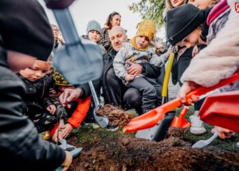 Łoniów: Tysiąc Dębów na Tysiąclecie Korony Polski