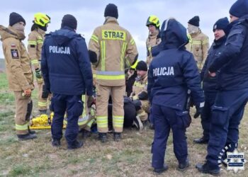 Opatów: 27-latka wyszła na spacer – następnego dnia znaleziono ją nieprzytomną w zaroślach