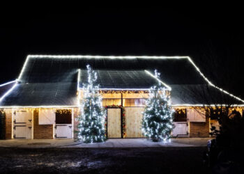 Skowierzyn: Spędzasz mikołajki w Szczęśliwej Zagrodzie? Zjedz bigos i wesprzyj budowę hospicyjnego domu dla dzieci