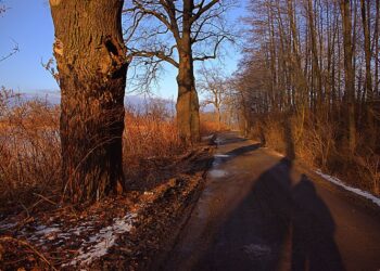 Tarnobrzeg: Rajd Mikołajkowy do Zwierzyńca