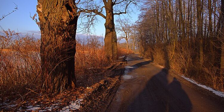 Tarnobrzeg: Rajd Mikołajkowy do Zwierzyńca