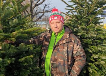 Tarnobrzeg: Jodła czy świerk? Przedświąteczny wybór na choinkowych stoiskach