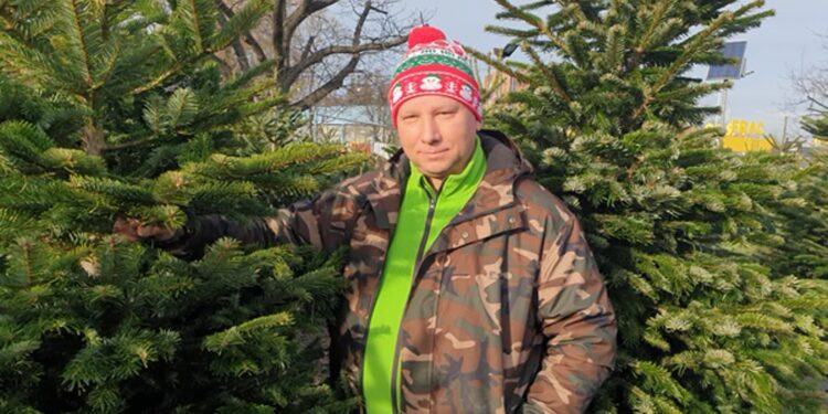 Tarnobrzeg: Jodła czy świerk? Przedświąteczny wybór na choinkowych stoiskach