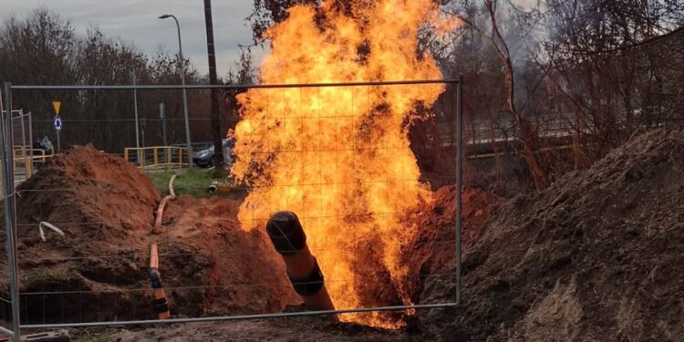 Ostrowiec Świętokrzyski: Pożar gazociągu, jedna osoba poparzona