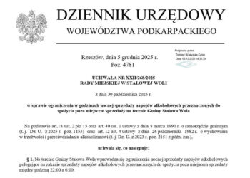 Stalowa Wola: To już od 1 stycznia – w mieście zaczyna obowiązywać nocna prohibicja