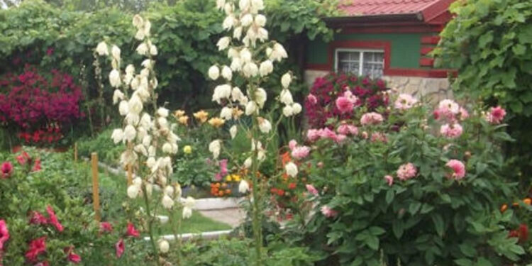 Stalowa Wola: Temat nowego ogrodu działkowego odłożony w czasie