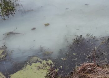 Gorzyczany: Zanieczyszczona woda w rzece Gorzyczanka, nieznana przyczyna