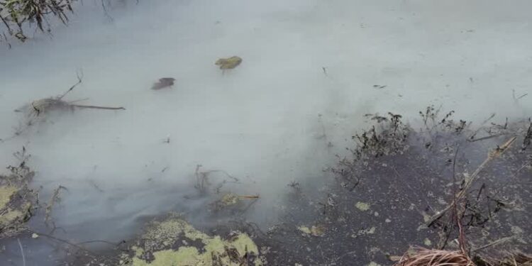 Gorzyczany: Zanieczyszczona woda w rzece Gorzyczanka, nieznana przyczyna