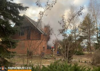 Tarnobrzeg. Pożar domu na osiedlu Mokrzyszów