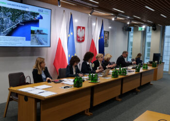 Warszawa: Sejmowa Komisja Ochrony Środowiska negatywnie o sprzedaży terenów pod budowę SMR w Stalowej Woli – miasto się nie poddaje