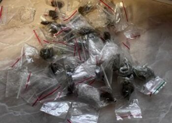 Stalowa Wola: 19-latek zatrzymany z narkotykami