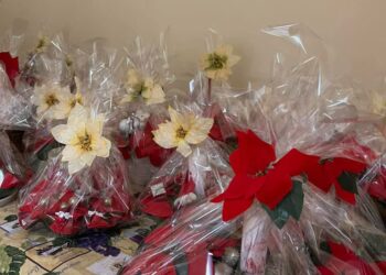 Sandomierz: Młodzież z „Katolika” zaprasza na kiermasz charytatywny na rzecz Hospicyjnego Domu Aniołków