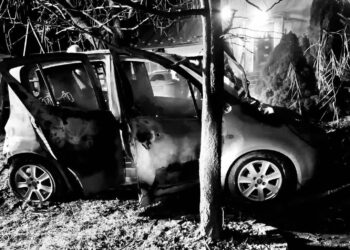 Borowa: Tragedia w Sadkowej Górze