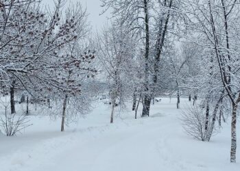 Samborzec: Zima niestraszna