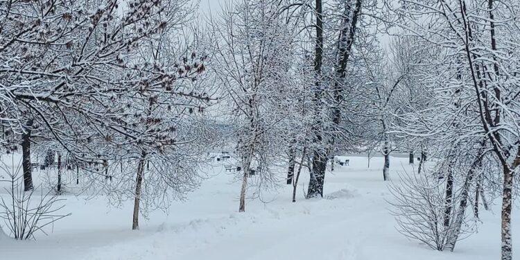 Samborzec: Zima niestraszna